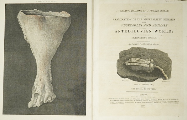 Parkinson, James - Organic Remains of a Former World. An Examination of the Mineralised Remains of the Vegetables and Animals of the Antediluvian World; Generally Termed Extraneous Fossils, 1st edition, vol. 2 (of 3), 4t